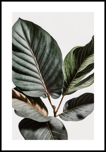 Plakat monstera na szarym tle z białym marginesem