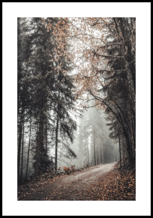 Plakat mistyczny jesienny las z białymi marginesami
