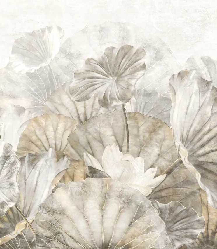 Fototapeta lotus leaves and flowers